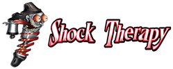 shock-therapy-logo